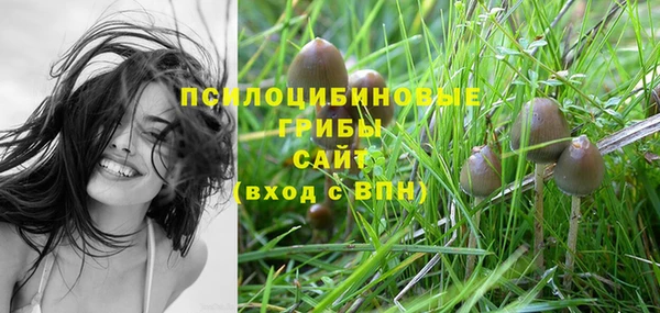 круглые Алексеевка