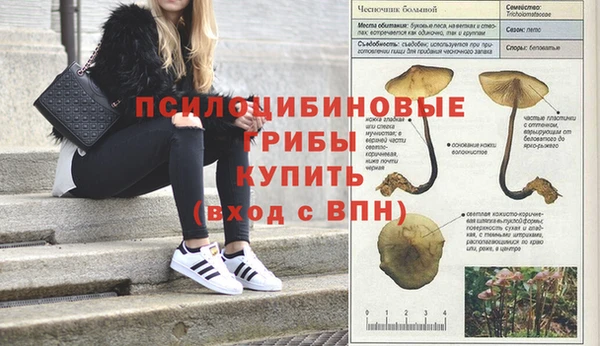 героин Алексин