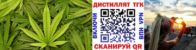 OMG онион  Жуковский  ТГК Wax 