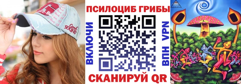 где купить наркоту  Жуковский  Галлюциногенные грибы GOLDEN TEACHER 