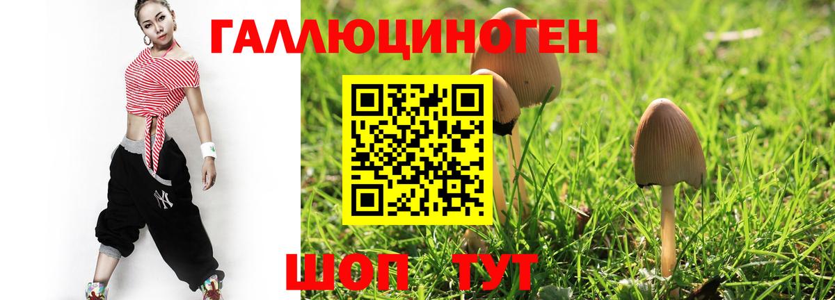 Псилоцибиновые грибы Psilocybine cubensis Жуковский